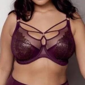34G Elomi Eugenie Plunge Bra in Purple